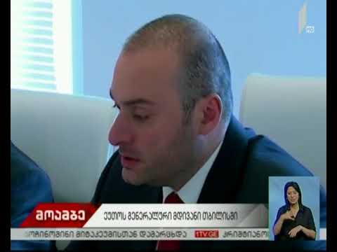 მამუკა ბახტაძემ ტომას გრემინგერს უმასპინძლა